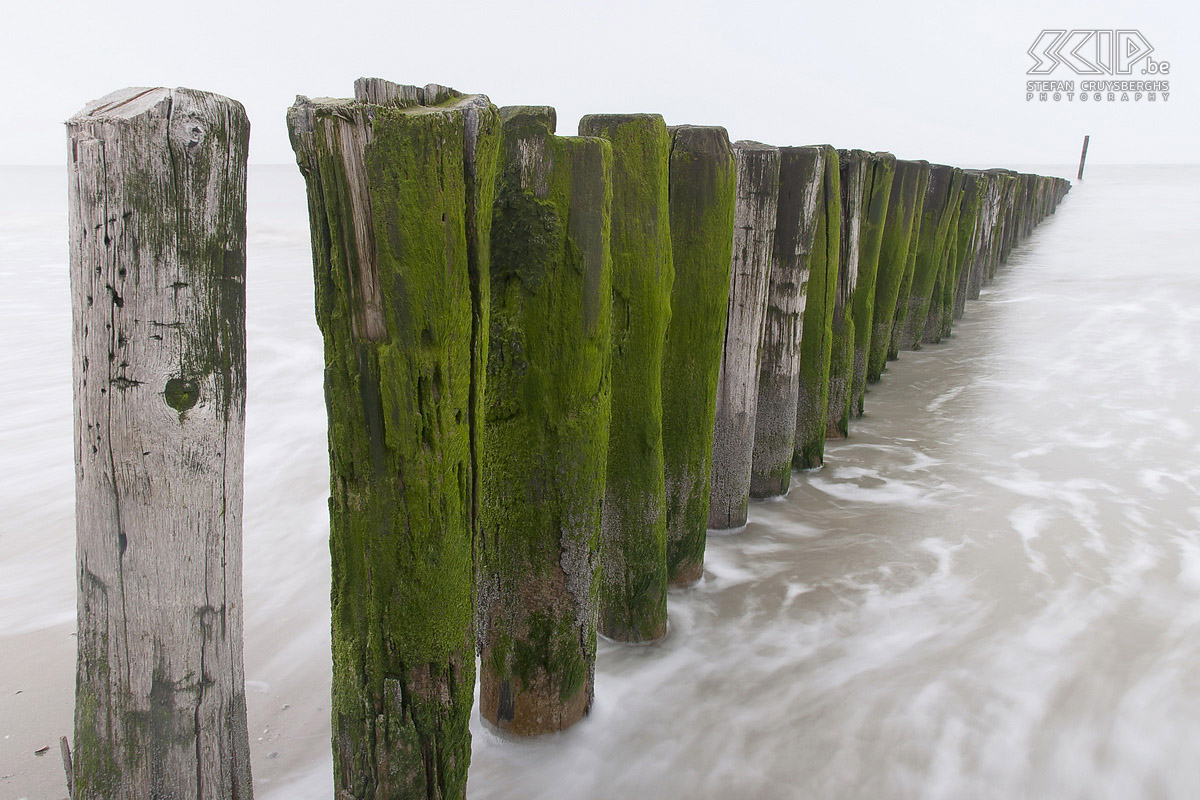 Flamish and Zeelandic coast - Cadzand A day of photographing at the Flamish and Zeelandic coast in Breskens, Cadzand, Knokke and Blankenberge. Stefan Cruysberghs